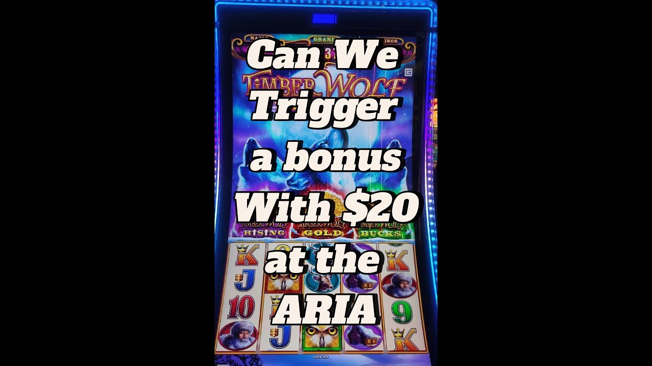 Can We Trigger a Bonus with $20 at the ARIA? Watch Slot Wars Min vs Max take on Timberwolf!