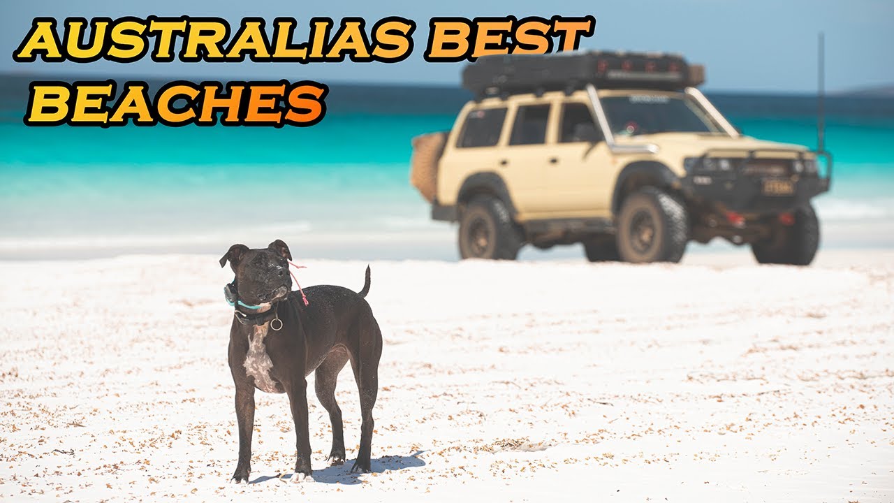 Одиночное путешествие с палатками на лучших пляжах Австралии - круговое путешествие по Австралии ...