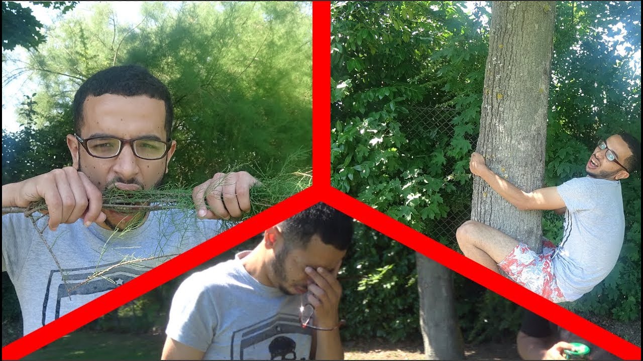 CAP OU PAS CAP IMPOSSIBLE  2 ?