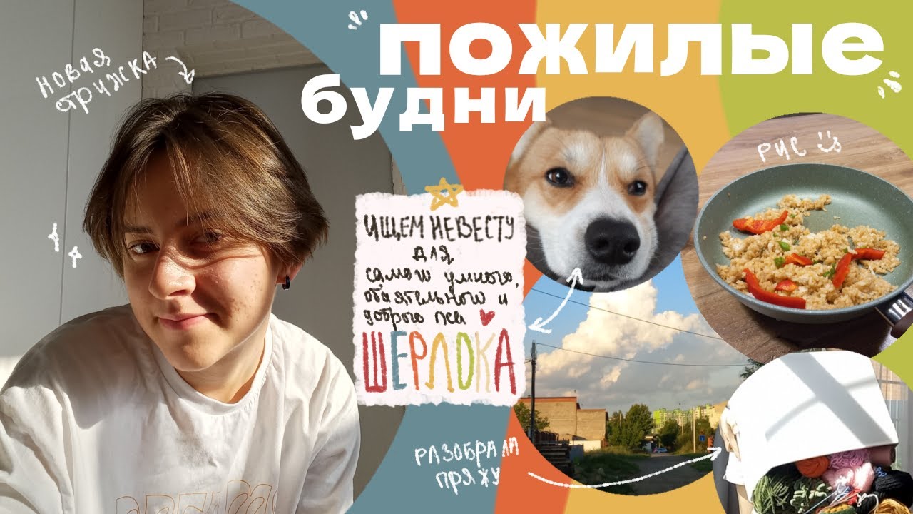 влог | борьба с прокрастинацией | делаю  дела сейчас, а не откладываю на потом!