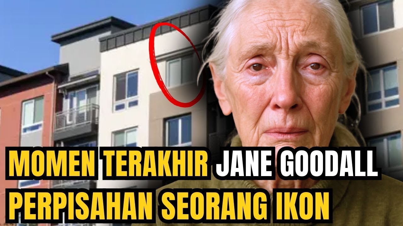 Momen terakhir Jane Goodall – perpisahan seorang ikon