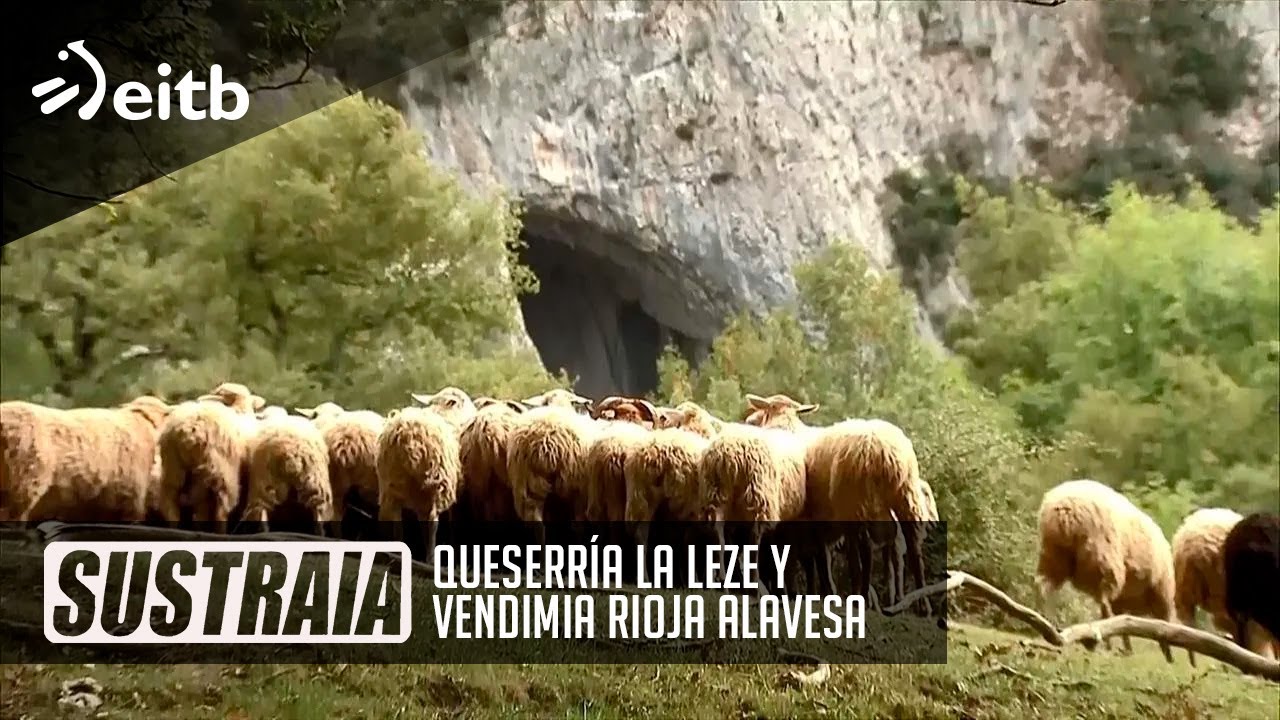SUSTRAIA: Quesería La Leze y Vendimia Rioja Alavesa