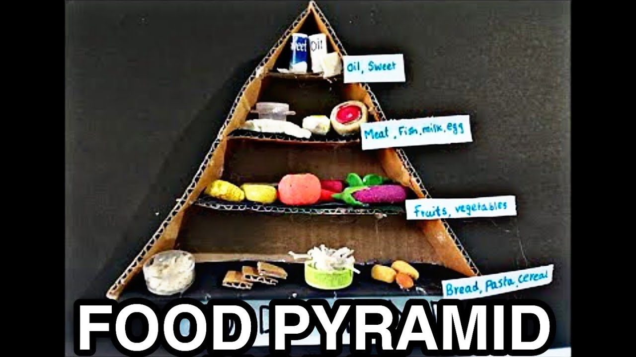 Food Pyramid Science Project 3D Model | School Exhibition Model | Food Pyramid Model | Balanced Diet
