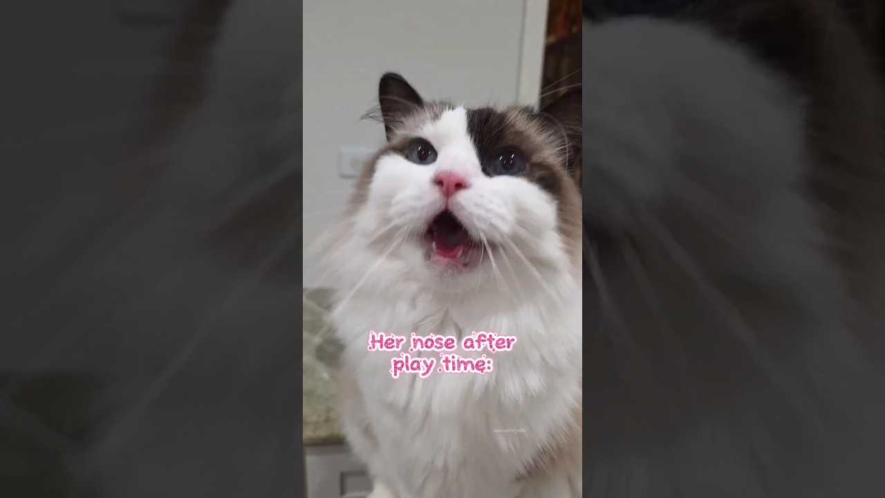 Всегда удивляюсь изменению цвета 💓