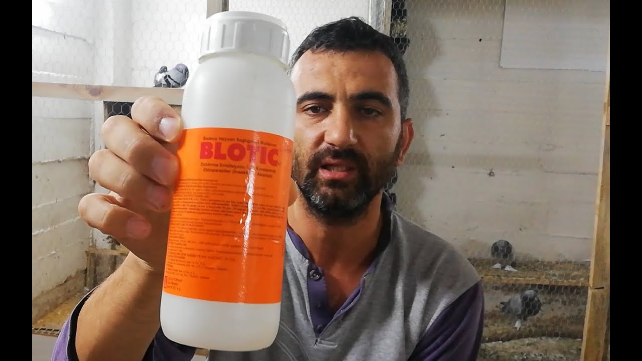 GÜVERCİN BİT İLACI. Kümesde Mutlaka Olması Gereken İlaçlar, BLOTIC. Güvercin Bit İlacı Bilotik.