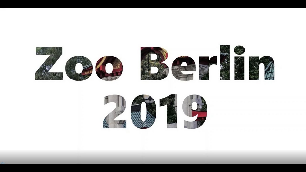 Berliner Zoo 2019