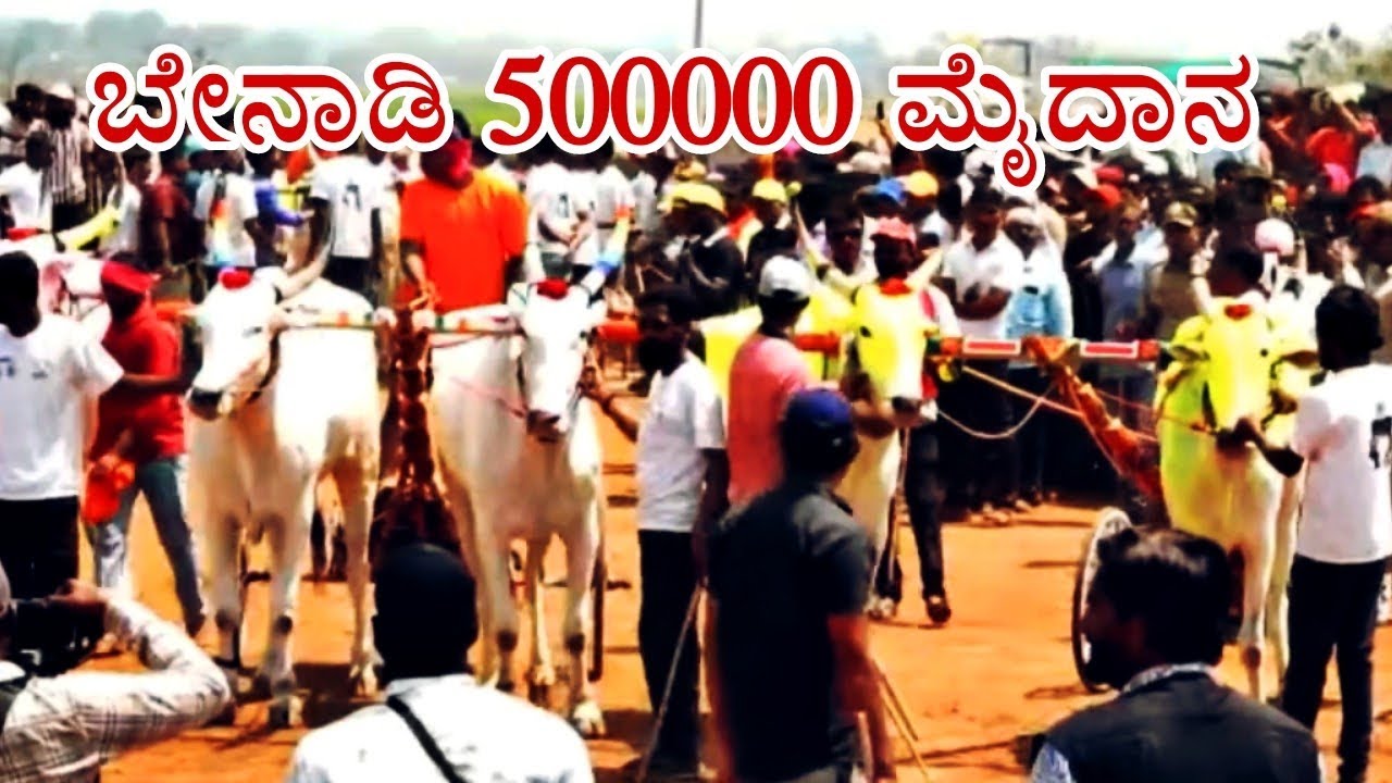 ಬೇನಾಡಿ 500000 ಮೈದಾನ 🥇ಹೇಲಿಕಾಪ್ಟರ್ ಬೈಜ್ಯ 🥇ಲಿಂಗನೂರ ರಾಜ 🥉ಅವರೇವಾಡಿ ಬೈಜ್ಯ & ಅಷ್ಟ ಶಿವರ್ಯ #benadi 