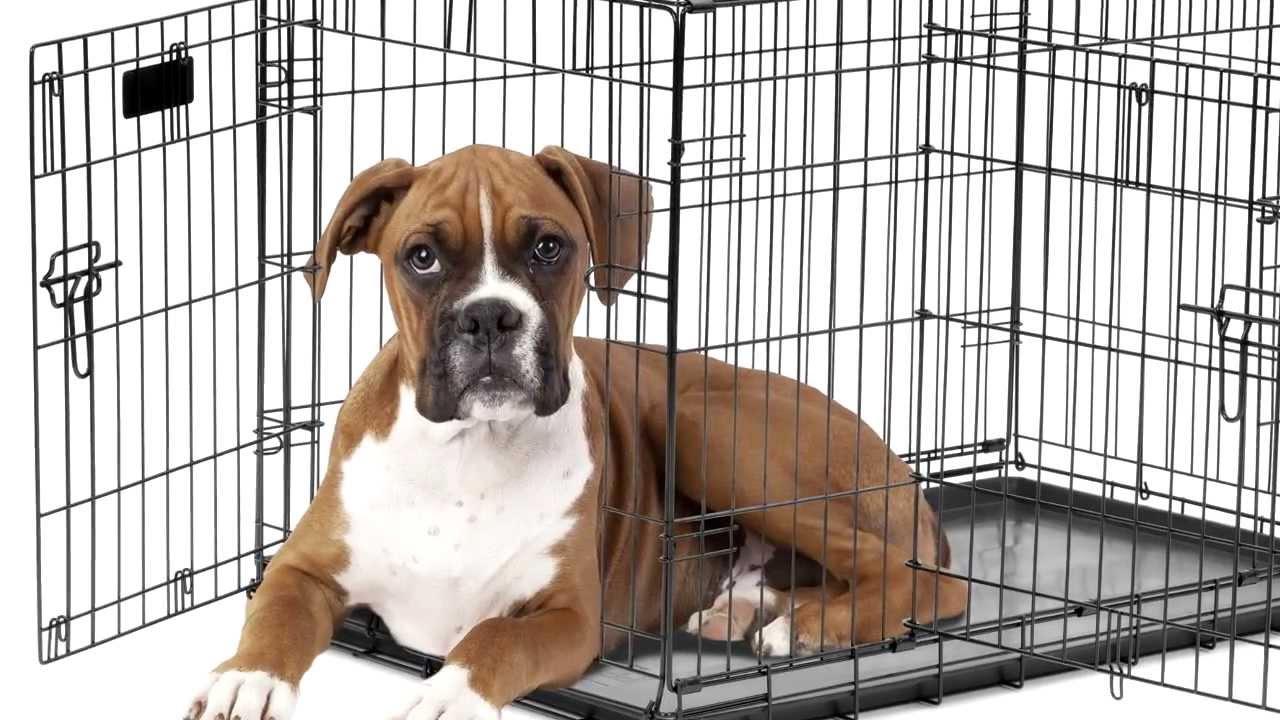The Precision Pet Products Pet Crate