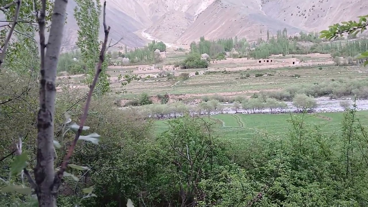 ۲۴ فوریهٔ ۲۰۲۶