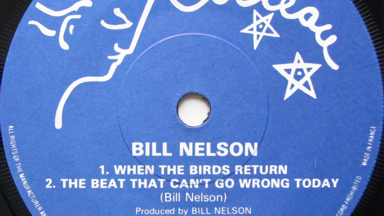 Bill Nelson - When The Birds Return (1982)