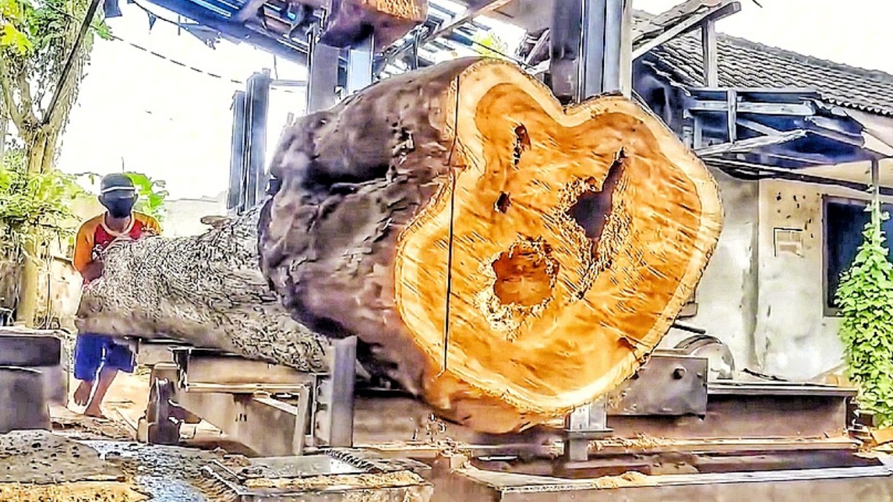 From Giant Teak Logs to Durable Fishing Boats – The Sawmill Transformation 🌳