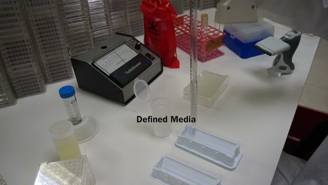 Phenotype MicroArray - Microbial Assay Protocol