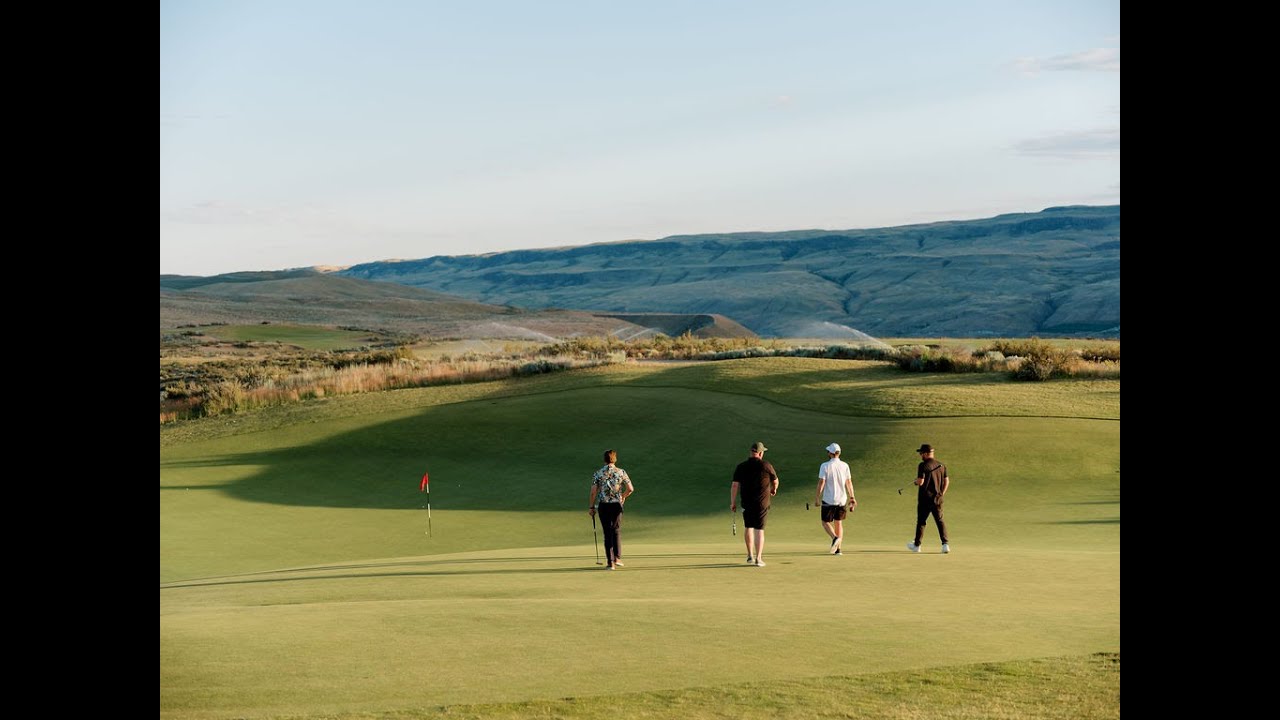 We are New Level Golf Co.