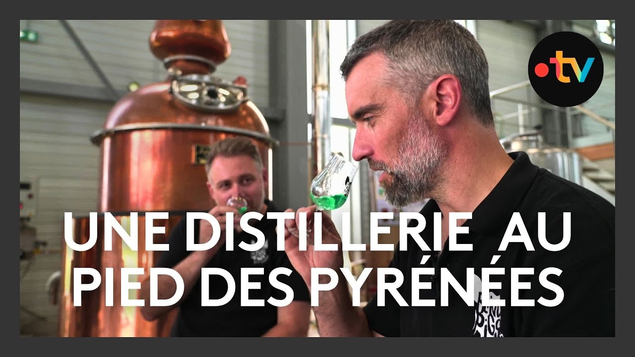Gin, liqueur, pastis : une distillerie s'installe au pied des Pyrénées