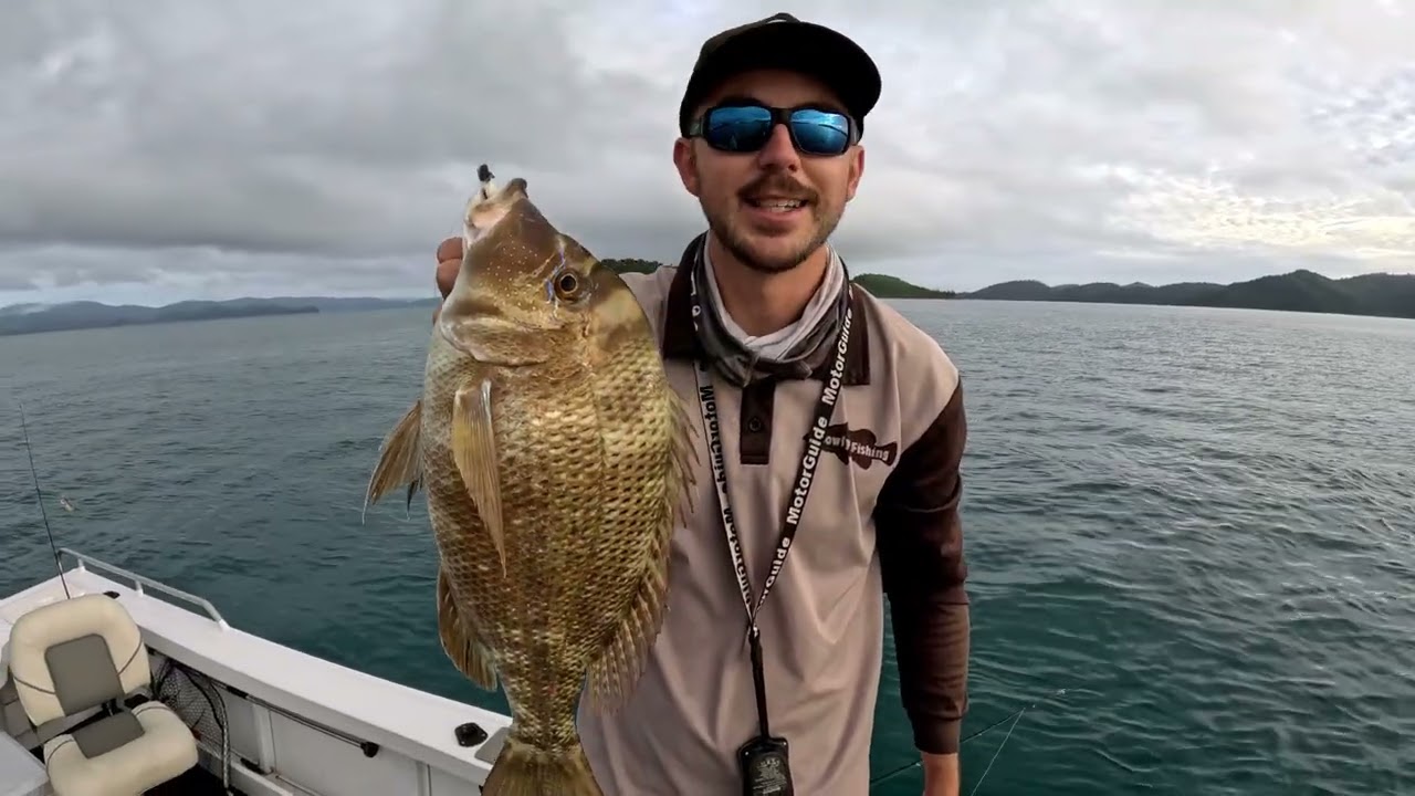 10 Minutes Of The Paddle Bait In Action | Chasebaits Australia