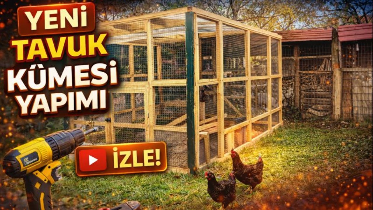 Köyde Tavuk Kümesi Yapımı | UCUZ ve SAĞLAM