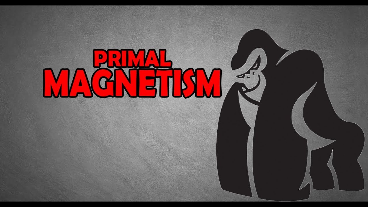 HOW TO BECOME A CHICK MAGNET | PRIMAL POLARITY