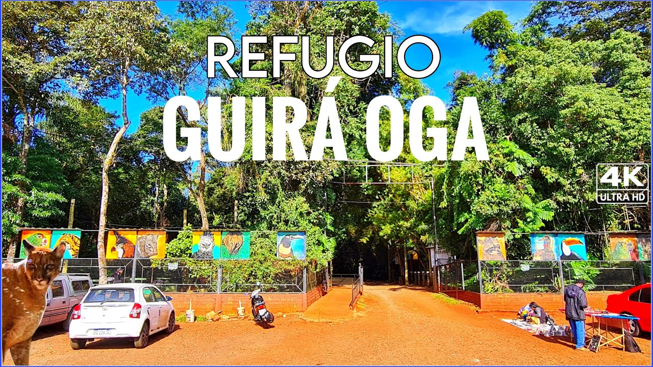 【4K】Recorriendo El Refugio de Rescate de Animales GUIRA OGA - Puerto Iguazú, Misiones ARGENTINA