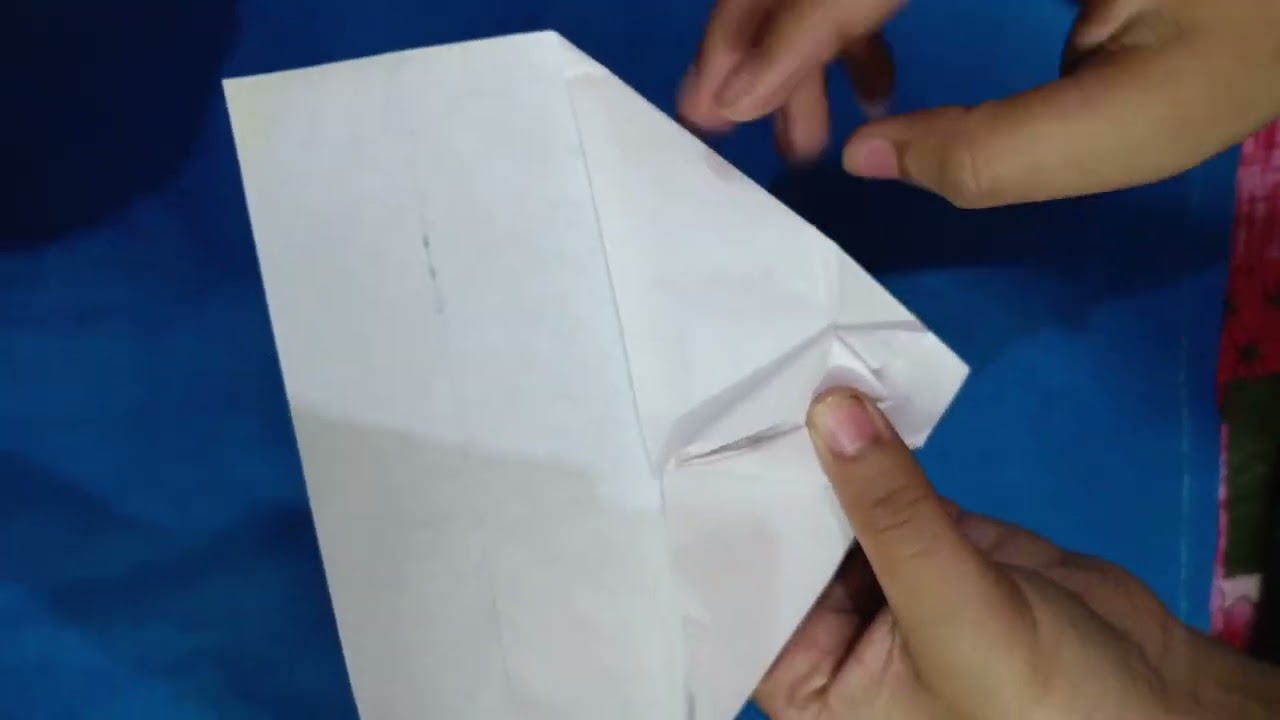 How to make a bird plane 