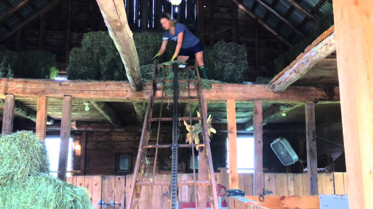 Using an Old Hay Elevator