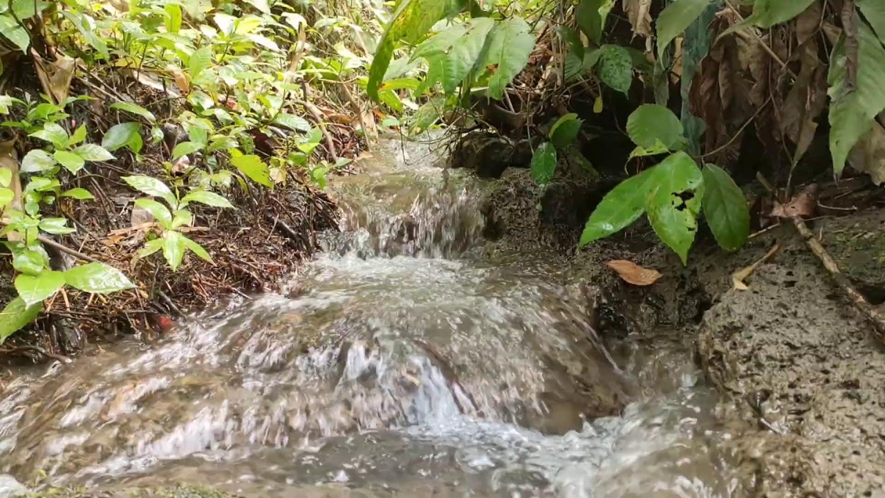 Healing River Ambience – Calm River Sounds with White Noise for Stress Relief