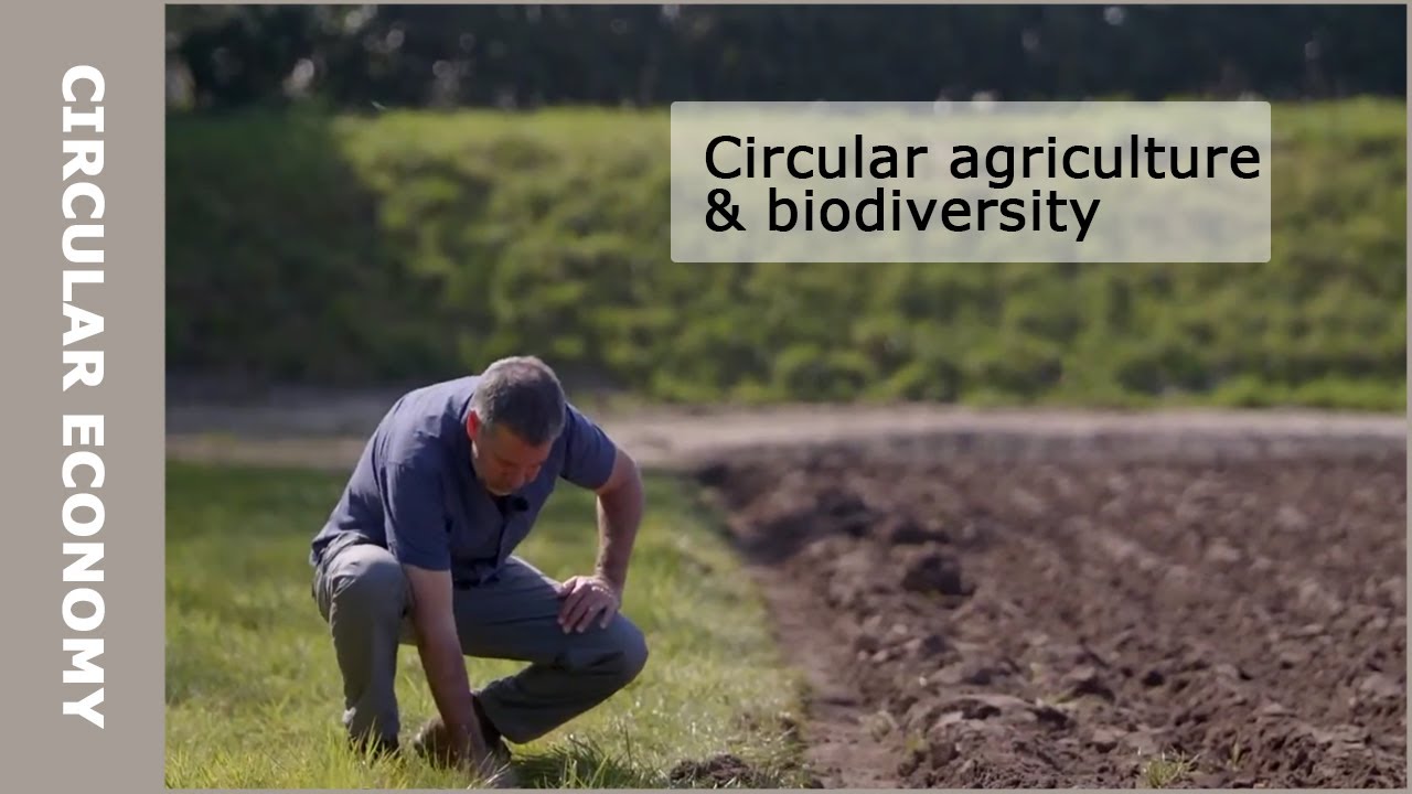 How does circular agriculture contribute to biodiversity?
