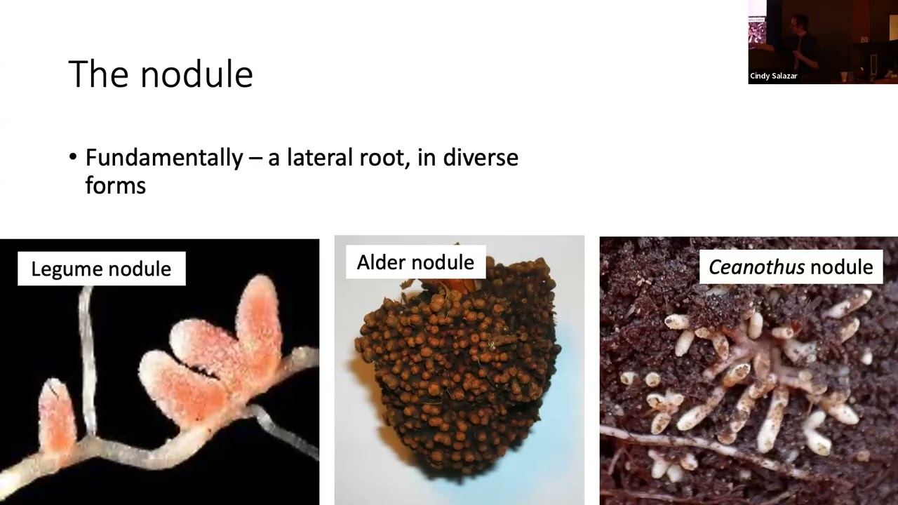 Ryan Folk, Associate Professor, Department of Biological Sciences, Mississippi State University