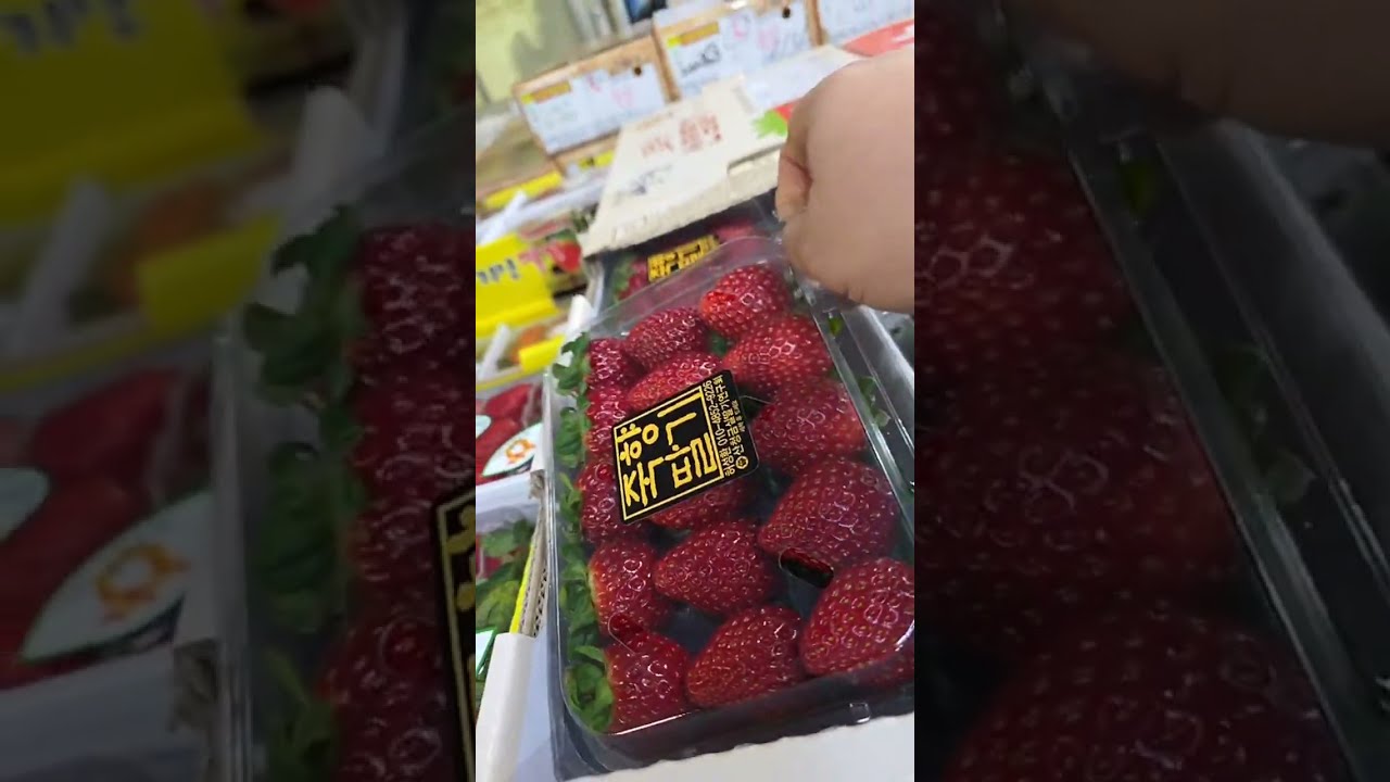 리어카를 탄 과일장수 라이브 스트리밍 중