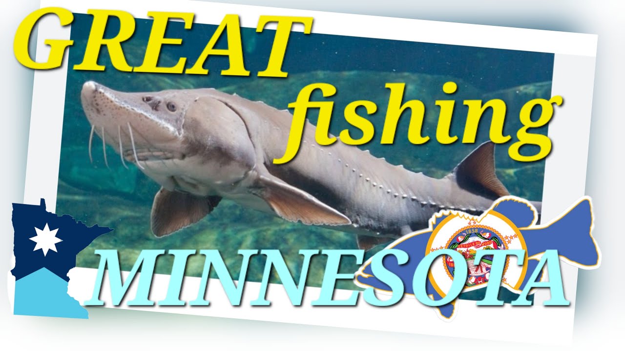 Great fishing или необычная рыбалка.