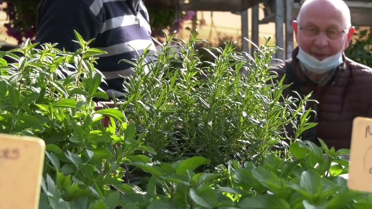 Fleurisse'Mans, un rendez-vous qui attire les passionn&eacute;s du jardin