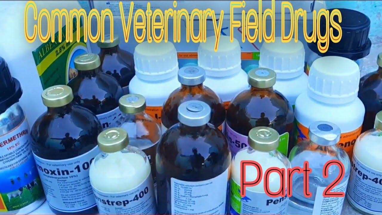 Common Veterinary Drugs | Part 2