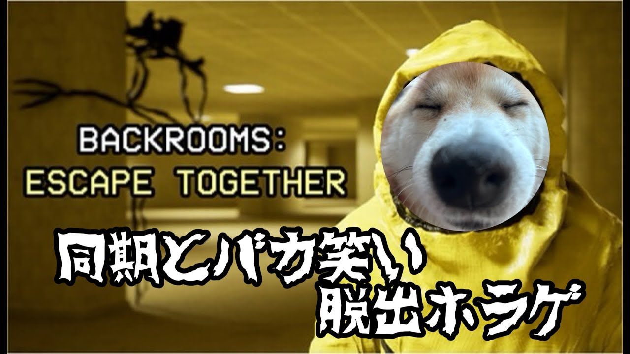 野郎と同期で笑いの脱出ゲーライブ配信 【Backrooms: Escape Together】