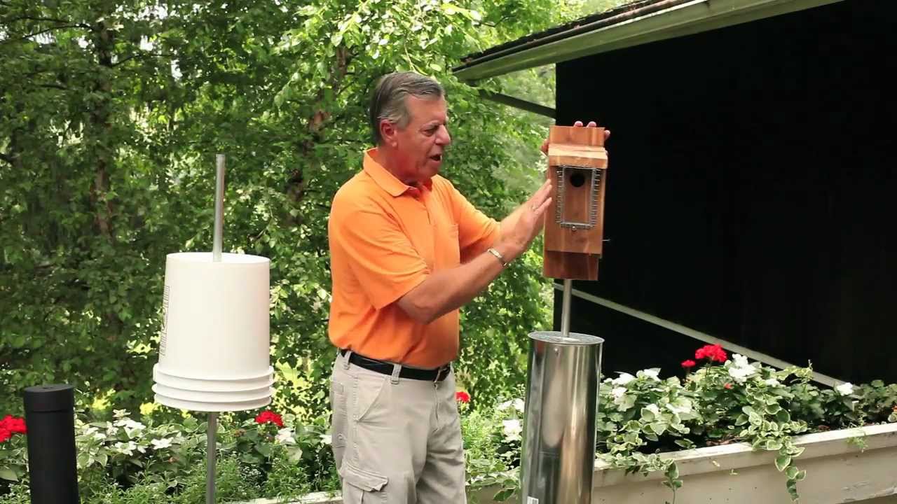 Bluebird predator guards - protect your Bluebird nest
