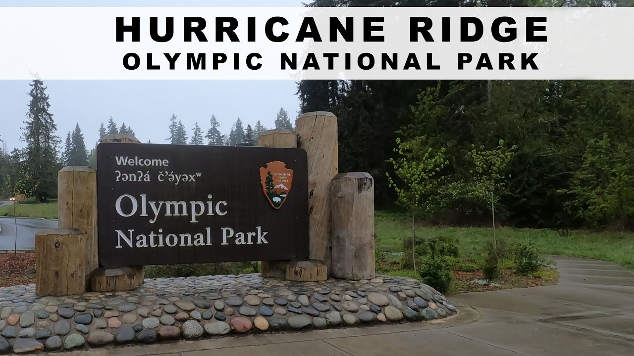 Hurricane Ridge | Olympic National Park | April 2024