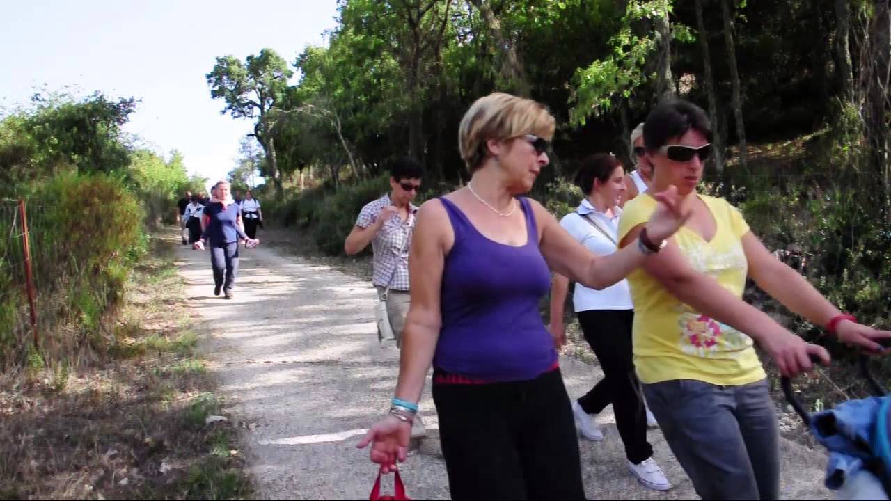Nughedu San Nicolò - Festa dei Santi Cosma e Damiano