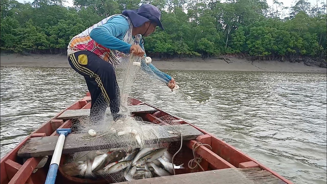 NO PRIMEIRO LANCE CARDUME DE PEIXES EMBOLOU NA REDE MALHADEIRA, pescaria de tainhas