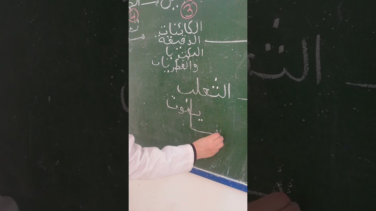 أمثلة من السلسلة الغذائية
