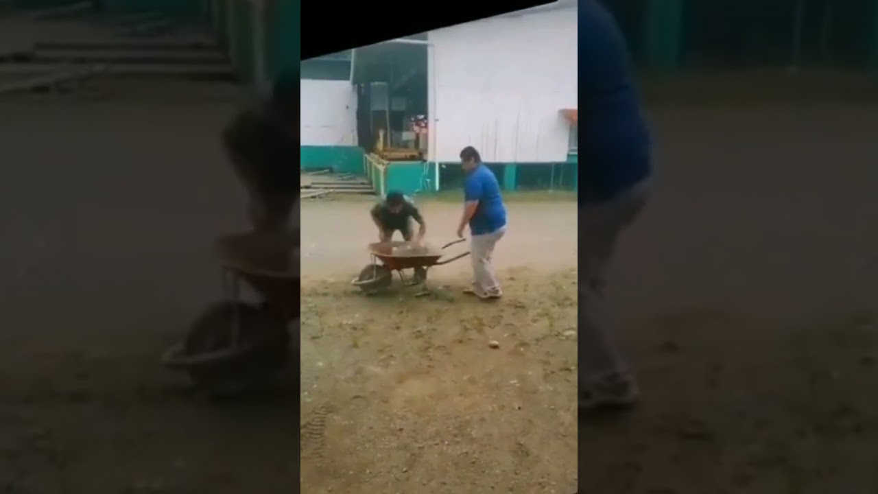 funny 2023 - Try not to laugh 🤣😆