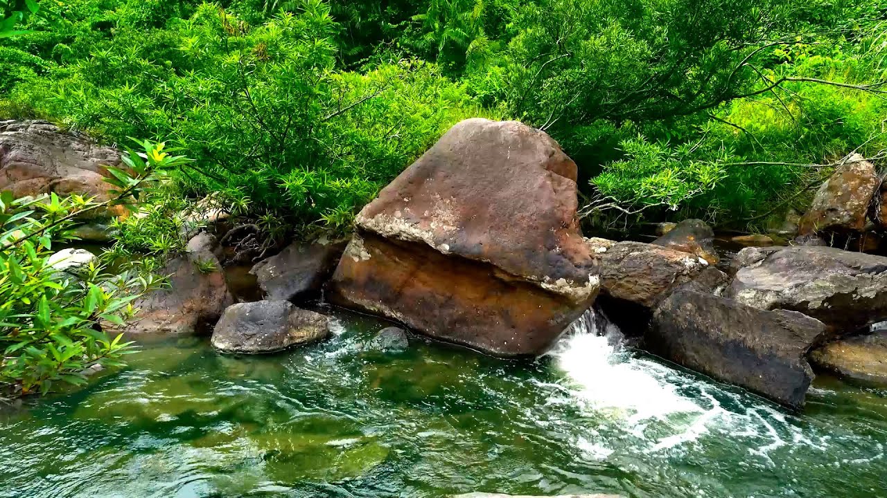Beautiful Nature Sounds, Peaceful Stream, No Birds Chirping