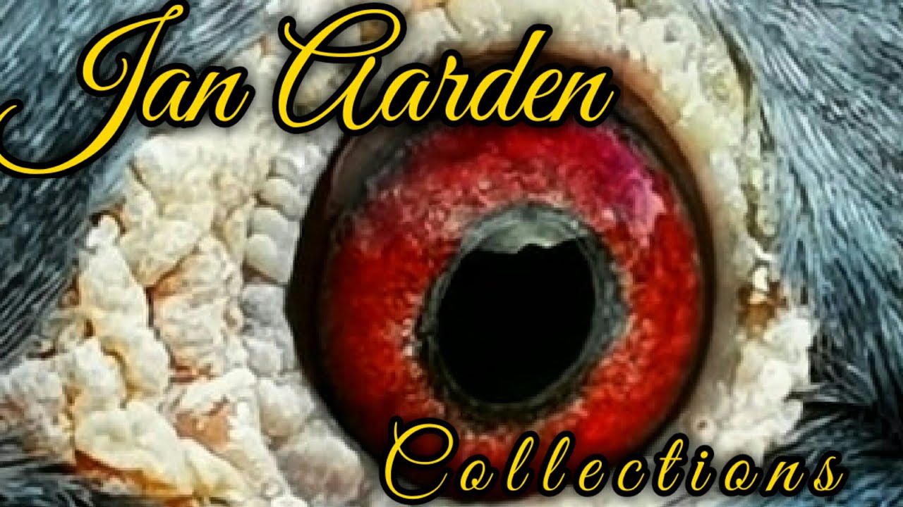 Jan Aarden Collection