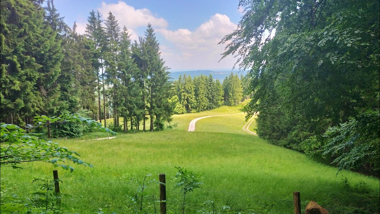 Wunderschöner Rundweg von Eisenärzt nach Maria Eck