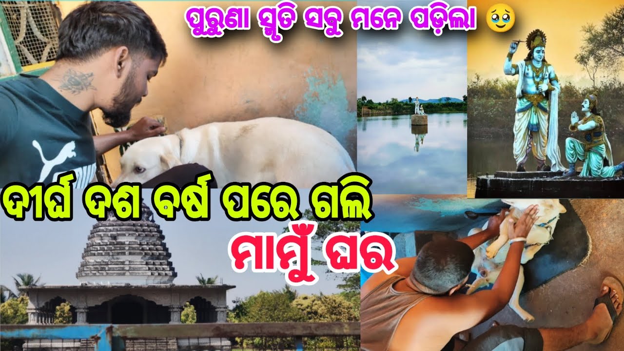 ଦୀର୍ଘ ଦଶ ବର୍ଷ ପରେ ଗଲି ମାମୁଁ ଘର 🥹👌🏻|ପୁରୁଣା ସ୍ମୃତି ସବୁ ମନେ ପଡ଼ିଲା 🤔😭#vlog #villagevlog #princerahul006
