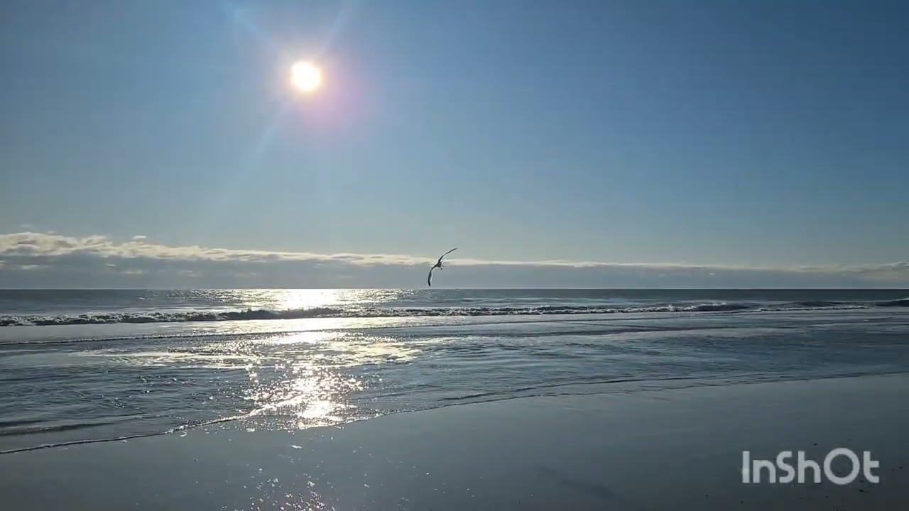 Winter Waves
