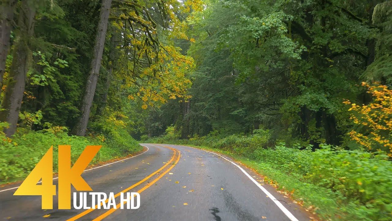 4K Fall Scenic Drive through Autumn Forest with Music - Autumn Road - Episode #3