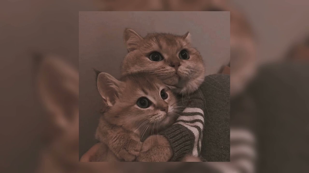 Can’t Wait - Doja Cat (sped up)