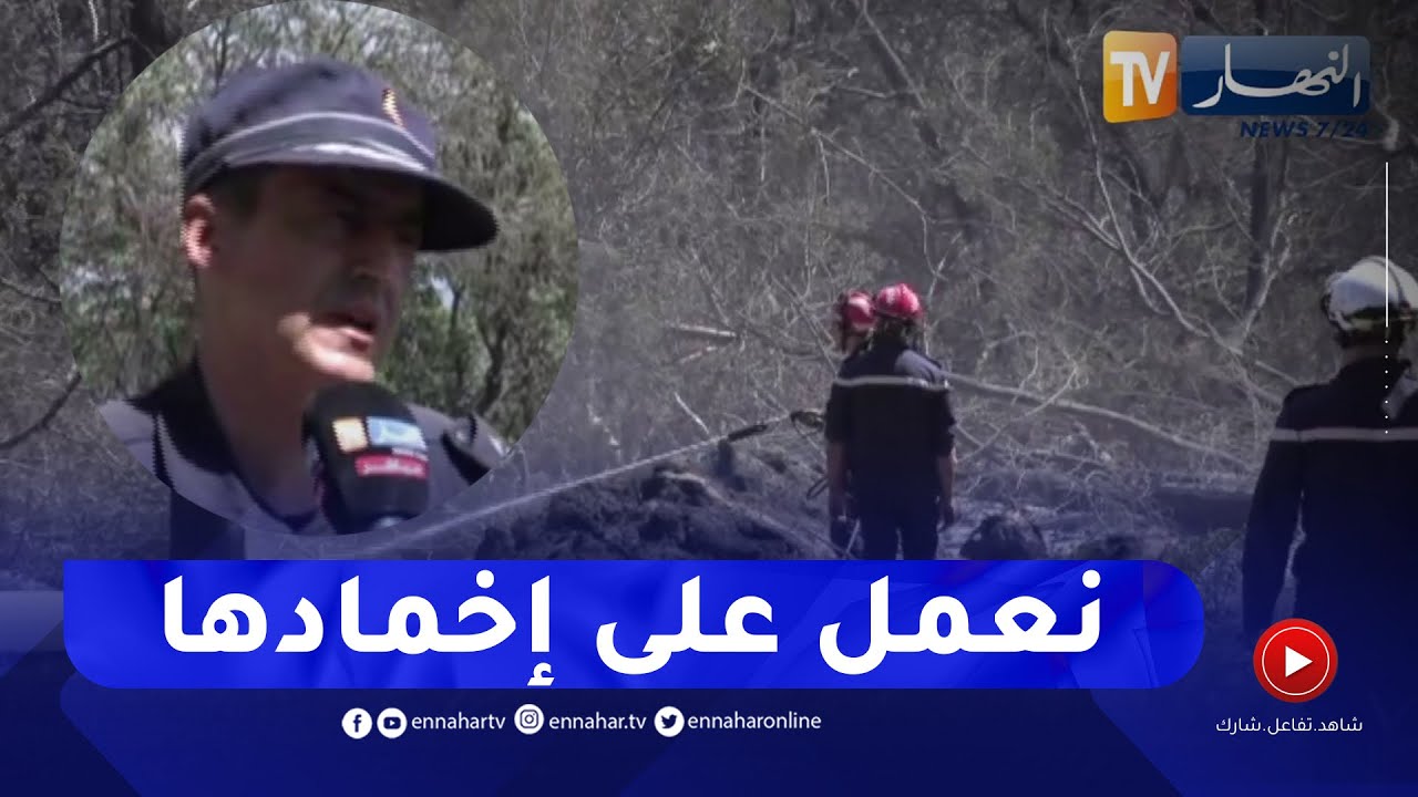 الطارف: مصالح الحماية المدنية تعمل على إخماد 4 حرائق متفرقة بالولاية