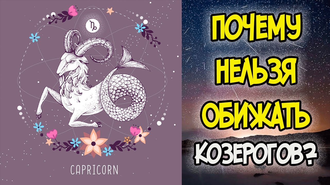 ПОЧЕМУ НЕЛЬЗЯ ОБИЖАТЬ КОЗЕРОГОВ?
