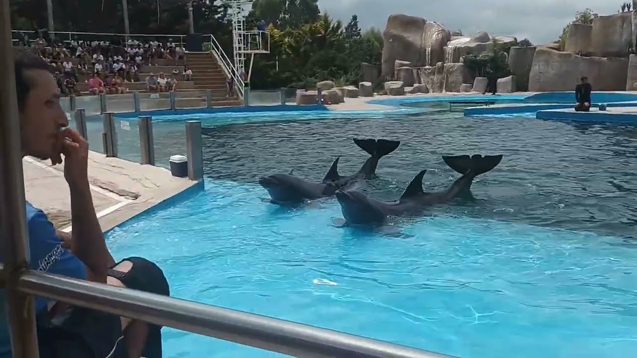 extraño la orca 😢 