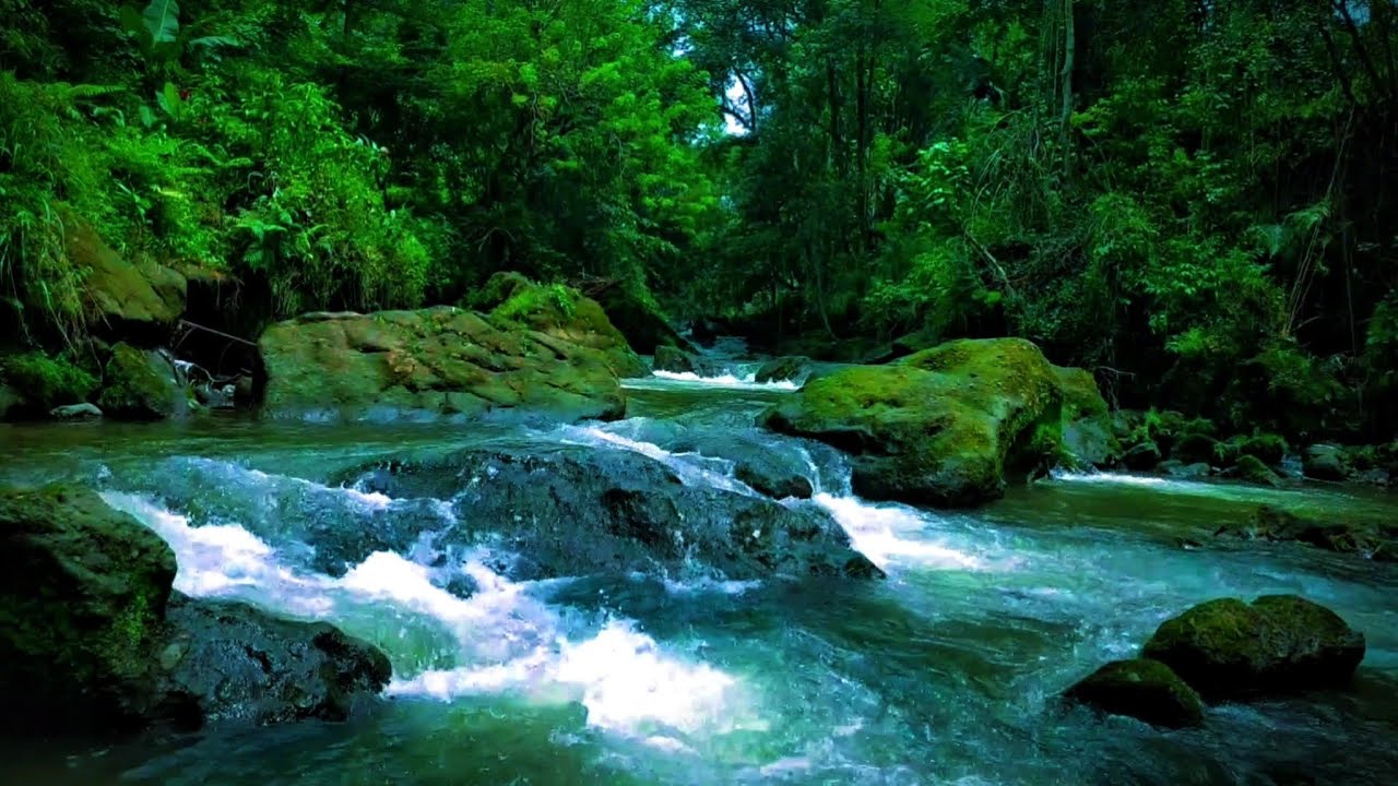 Deep Jungle River ASMR – Soothing Water Sounds for Sleeping, Relaxation & Stress Relief (4hours)
