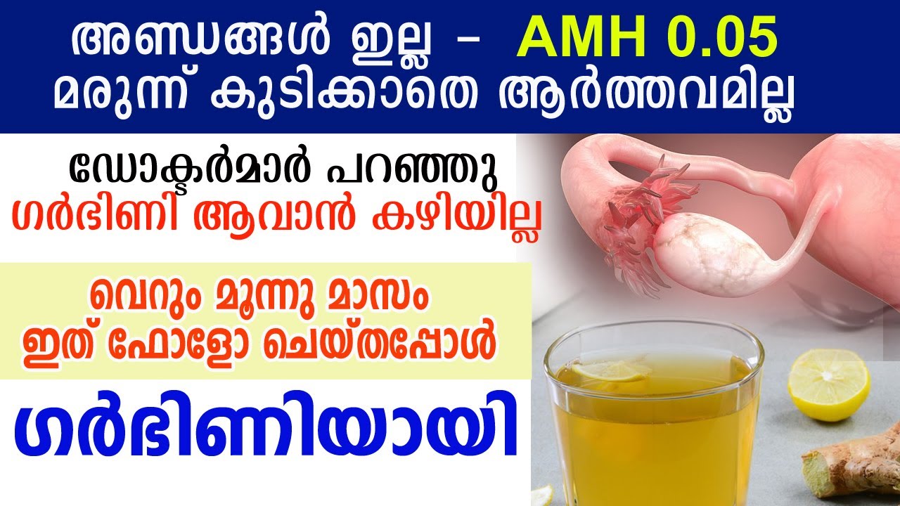 അണ്ഡങ്ങള്‍ ഇല്ല, ഡോക്ടര്‍ ഗര്‍ഭിണി ആവില്ല എന്ന് പറഞ്ഞു , 3 മാസം ഇത് ഫോളോ ചെയ്തു ഗര്‍ഭിണിയായി LOW AMH